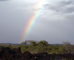 Rainbow on the coast of Ka'u on the island of Hawaii